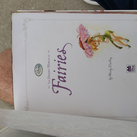 Disney "The Hidden World of Fairies" book - Picture 2 of 16